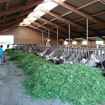 Ferienbauernhof Koepf フュッセン