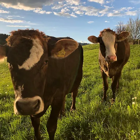 Appartement Ferienbauernhof Koepf