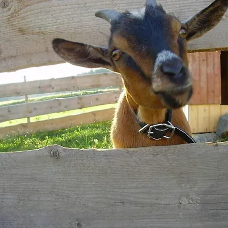 Ferienbauernhof Koepf