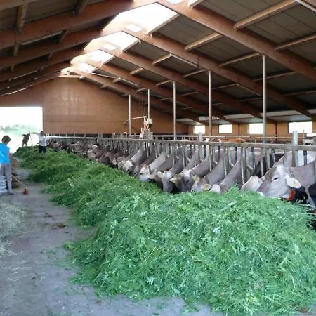 Ferienbauernhof Koepf Füssen