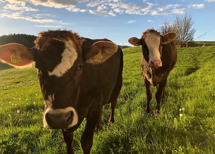 Appartement Ferienbauernhof Koepf