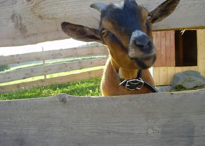 Ferienbauernhof Koepf