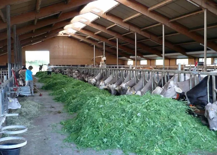 Ferienbauernhof Koepf Füssen